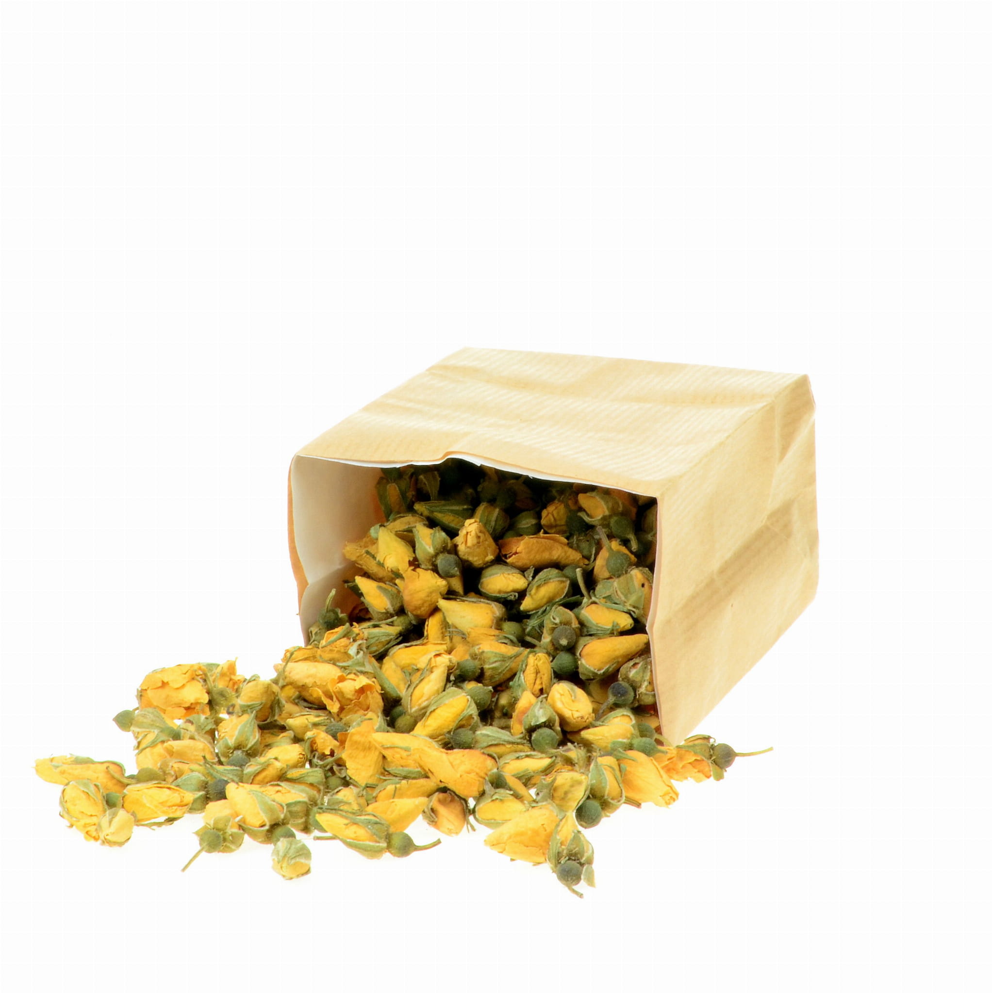 PĄCZKI RÓŻY ŻÓŁTE