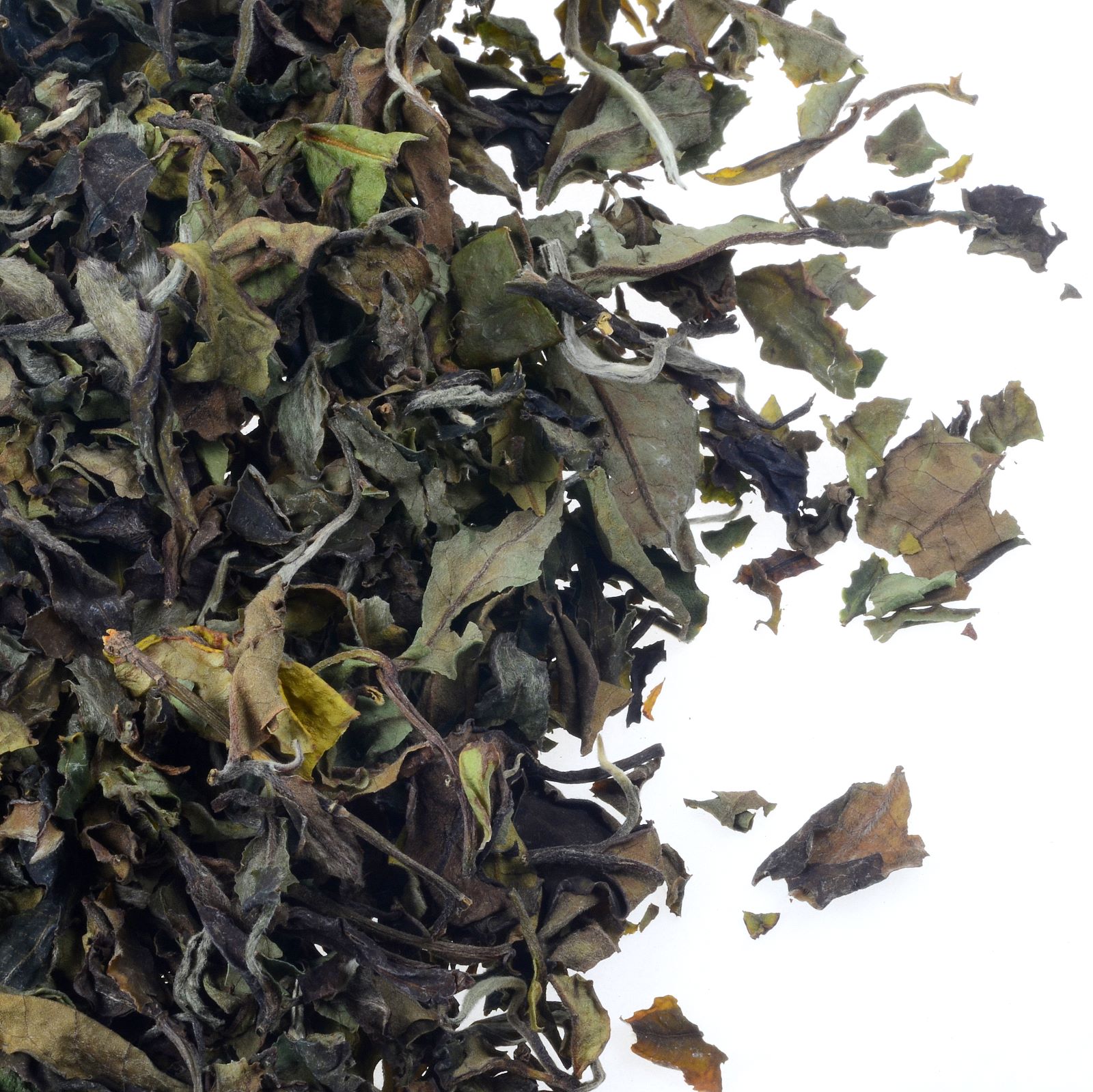 HERBATA BIAŁA CHINA PAI MU TAN WHITE TEA Q.T.